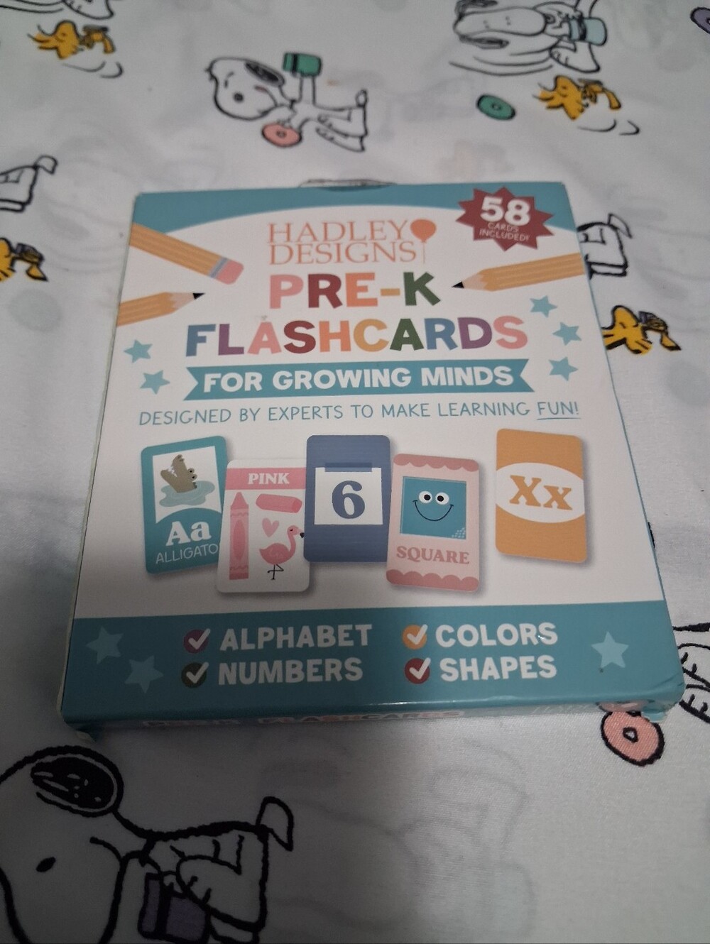 Hadley Designs Pre-K Flashcards Toddler Preschool - Like New